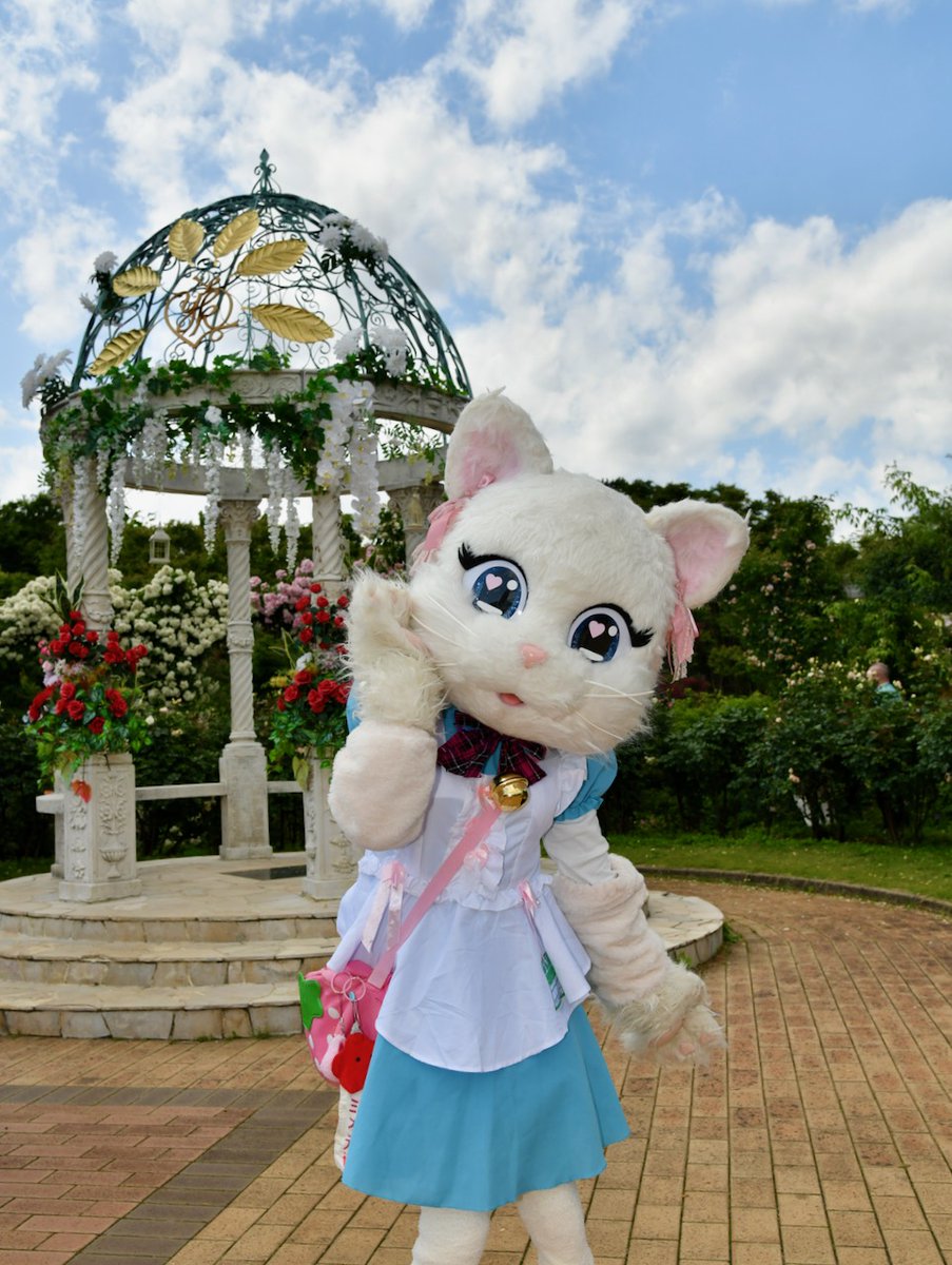 ミスティ日記♡ tweet media