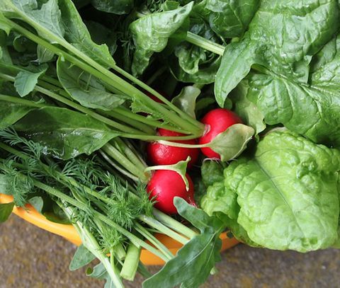 EnergyMRose's tweet image. What are your favorite tasting produce scraps that most people toss aside? Visit my website to discover more Vegetable Tops and Leaves You Didn't Know Were Edible (And Delicious) .
buff.ly/3USrZip 

#EnergyMattersLLC #Organic #NutritionCounseling #Wellness