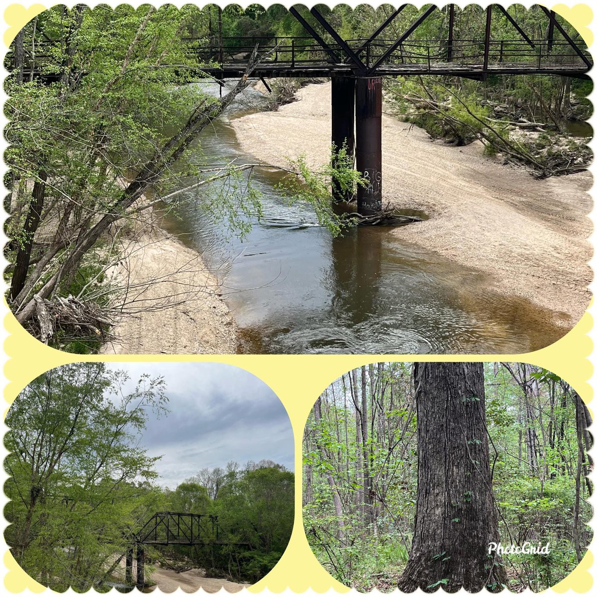 Timber Man tweet media