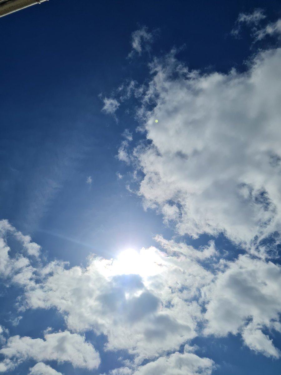 🌟 Hiro Muse ☁️ 啓温 ミューズ 🌟 || Let it Snow Cover📌 tweet media