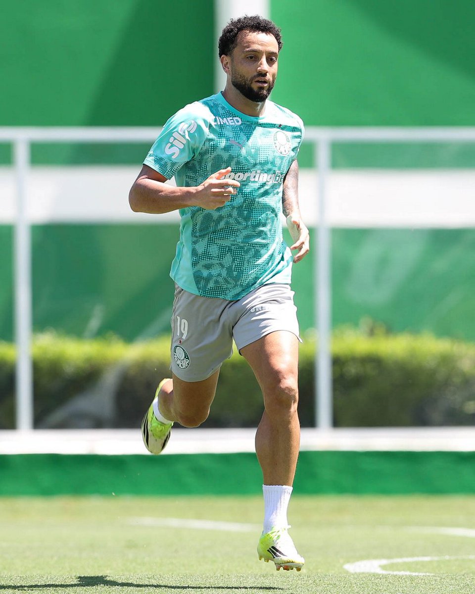 Planeta do Palmeiras 🌎 tweet media