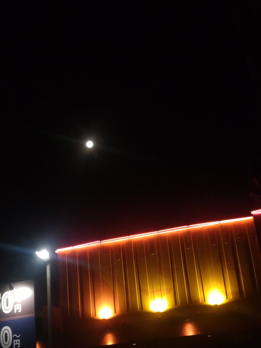 HΛL🌙╰⋃╯ tweet media