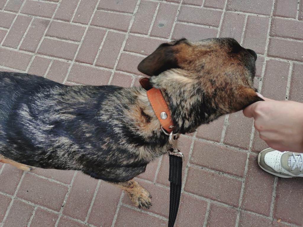 Мамця на мінімалках tweet media