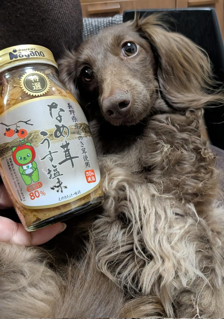 たら🌈＆うーぴーʚ๑⃙⃘´༥`๑⃙⃘ɞ🌸⋆* tweet media