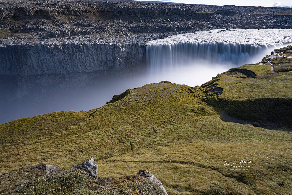 Wayne Moran Photography tweet media