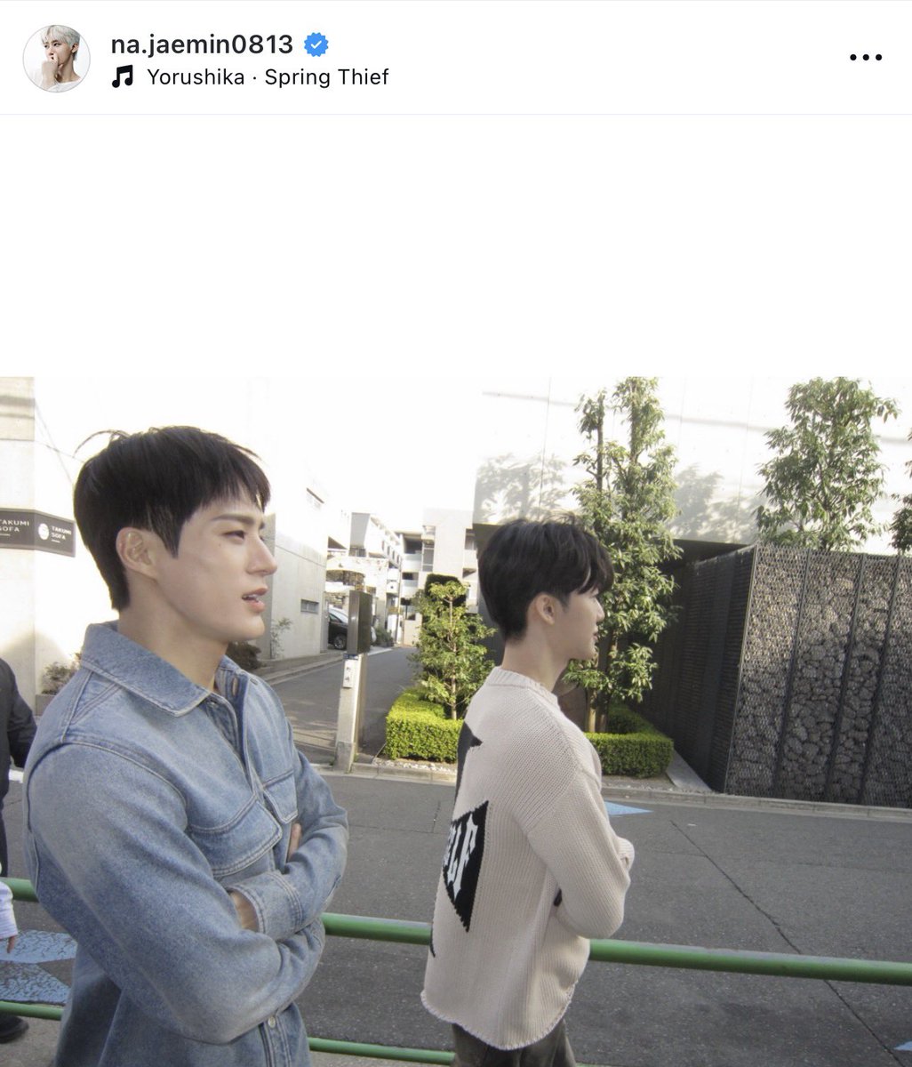 𝓟𝓾𝓽𝓻𝓲 🐰 BOTH SIDES ★ ★ tweet media