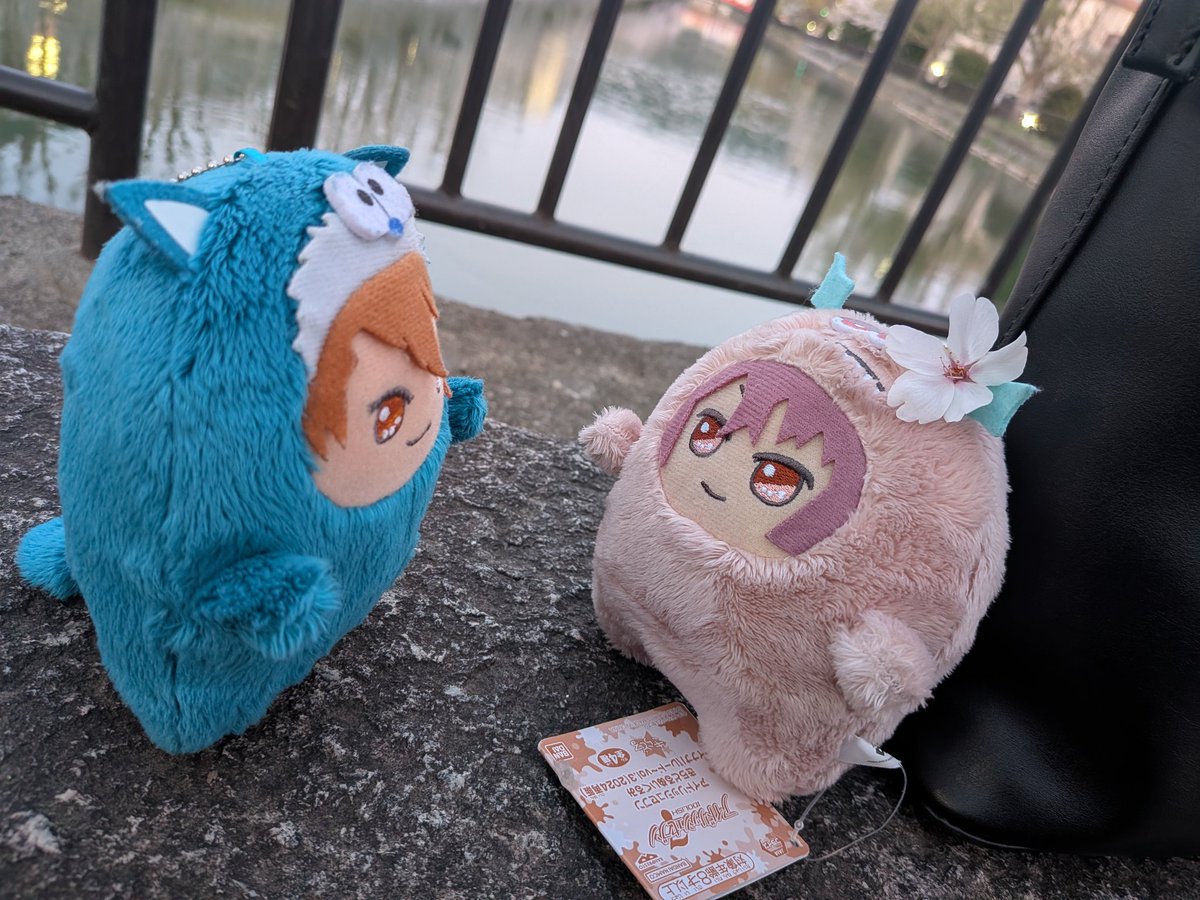 Dちゃん　リポストに♡しないで下さい　5/23陸or海、24アイナナEXPO、7/12みんあい大阪 tweet media