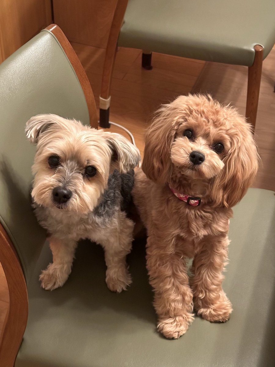 らっちゃんズ tweet media