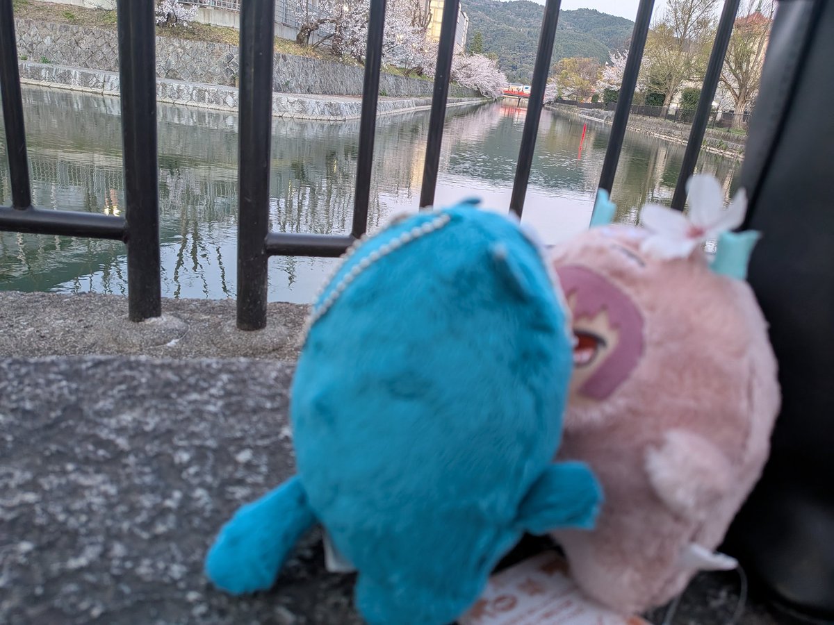 Dちゃん　リポストに♡しないで下さい　5/23陸or海、24アイナナEXPO、7/12みんあい大阪 tweet media