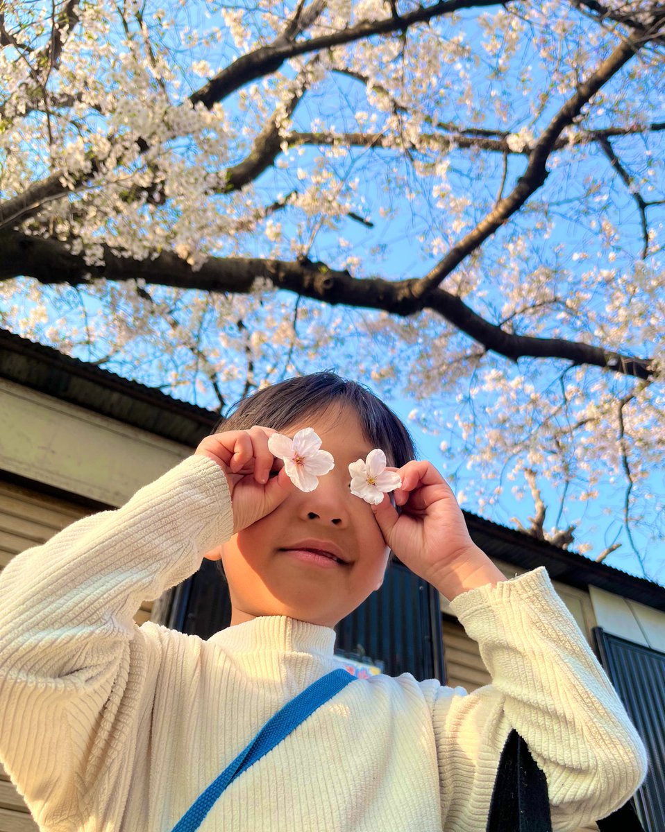 すけすけ ちよこ tweet media