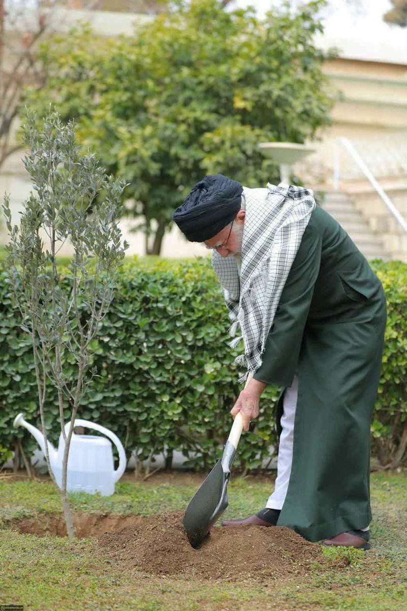 M.Pourabedini tweet media