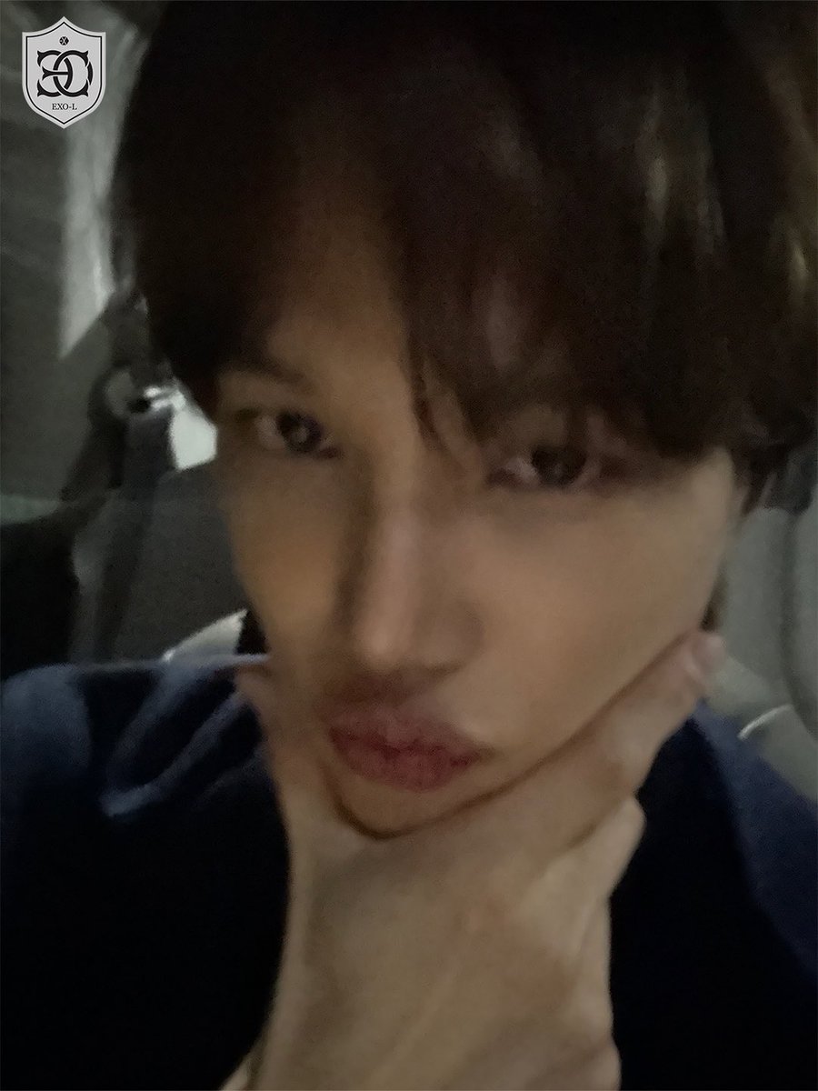 𝐊𝐀𝐂𝐄 ♡ (@niniskace) / Posts / X