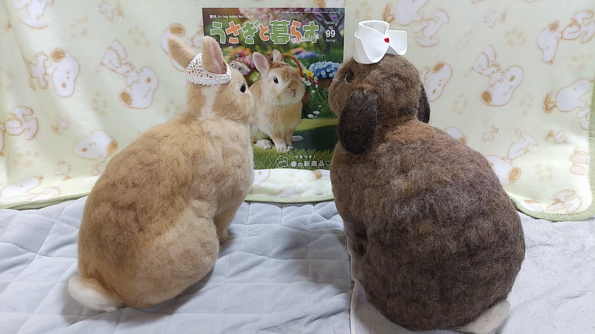 #うさぎ作品展inTwitter 
#うさぎ作品展inX 

今夜は曇り☁
ストロベリームーンはおあずけかな!?🌝💦

#羊毛フェルト等身大
#愛うさぎ介護中でオーダーお休み中🙇

#うさぎふくふく祭りinふくしま2026 5/10(日)ｱｵｳｾﾞ
うさぎ好きの皆さま！ふくしまにこらんしょ～
🙋🐰🍃🌸🌸🌸🌼🍀🍀