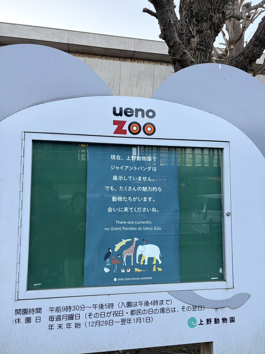 町山広美 tweet media