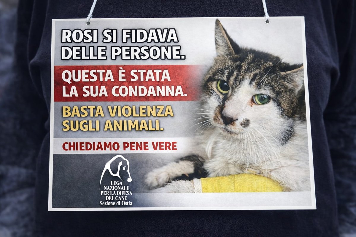 SFIGATTO tweet media