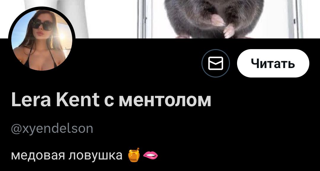 Cot_V_zasade-Reborn tweet media