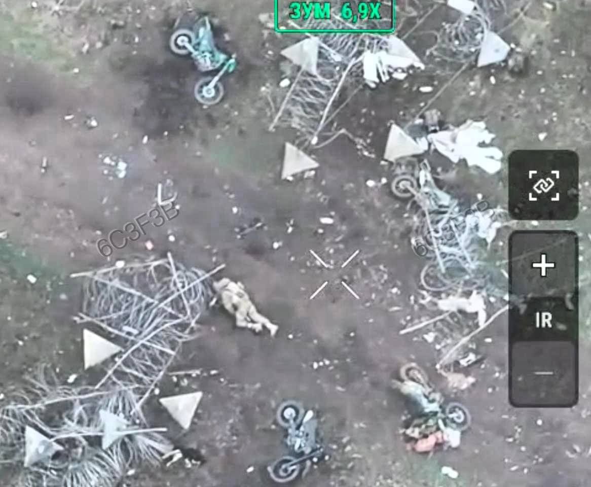 Special Kherson Cat 🐈🇺🇦 tweet media