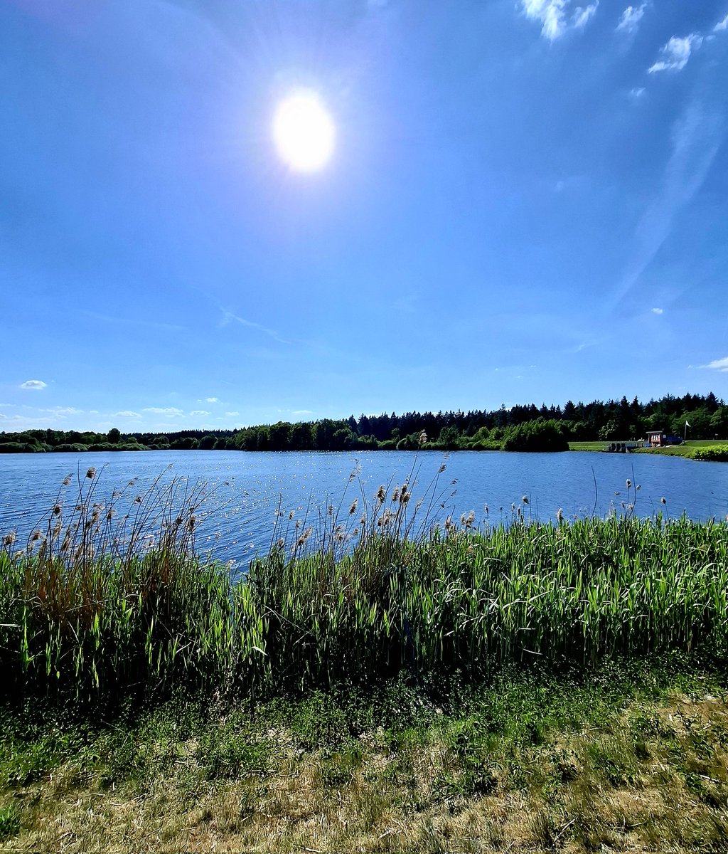 🌿Timeless Thursday 

Share a photo
from today or any past moment

A view,
a scene that felt special..

Which timeless moment will you share?

#TimelessThursday #Nature #ThursdayVibes

No rush, no noise.... just a moment that stayed🐕🌿