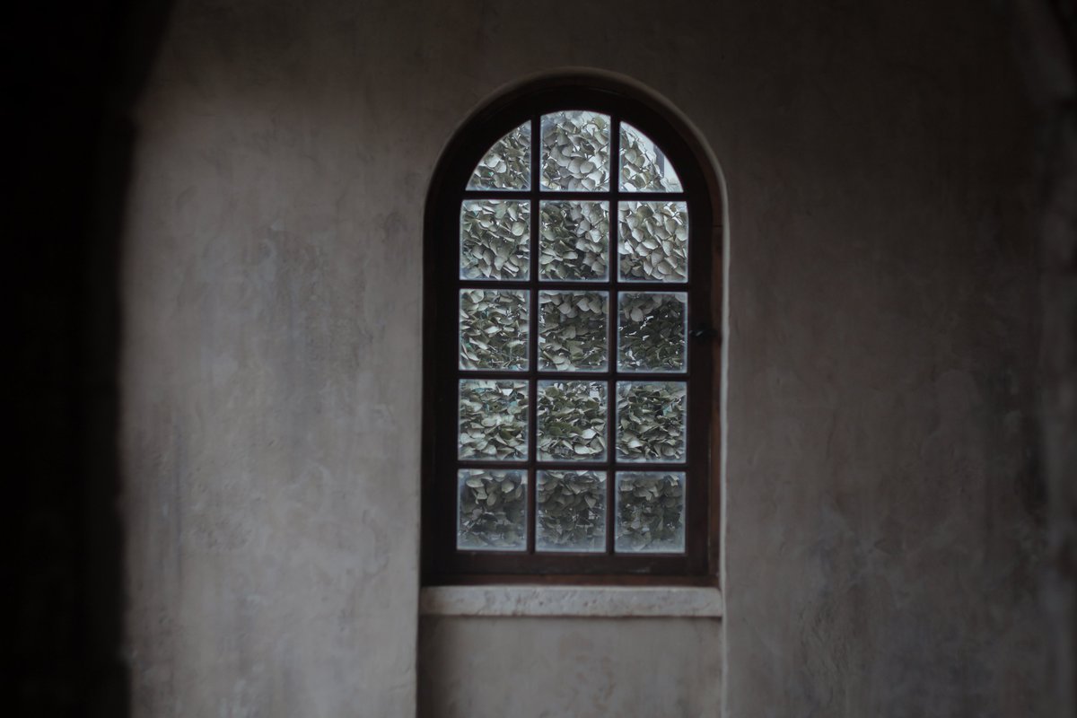 ひなぎ🪶➰ tweet media