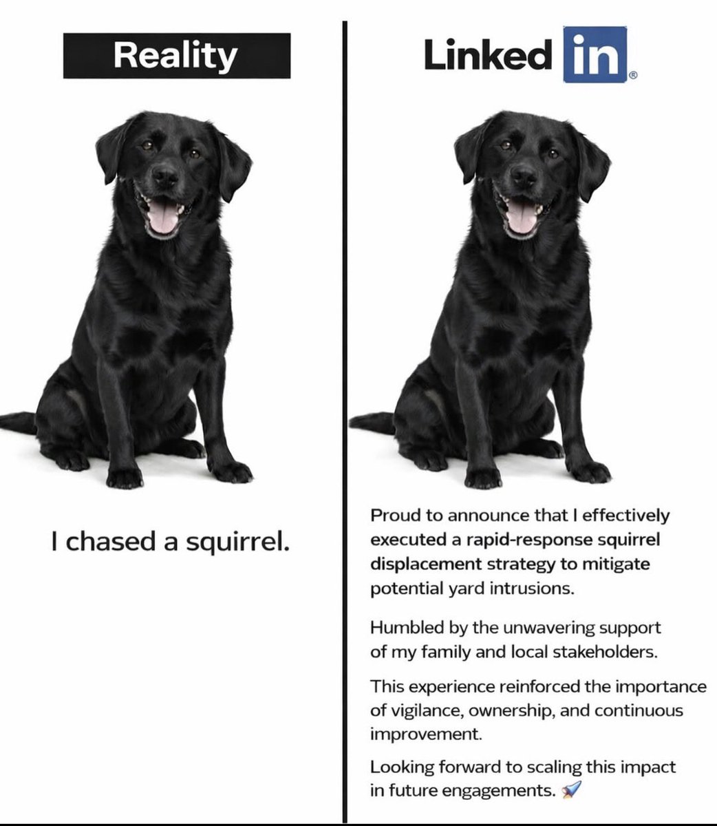 UnpackIT tweet media