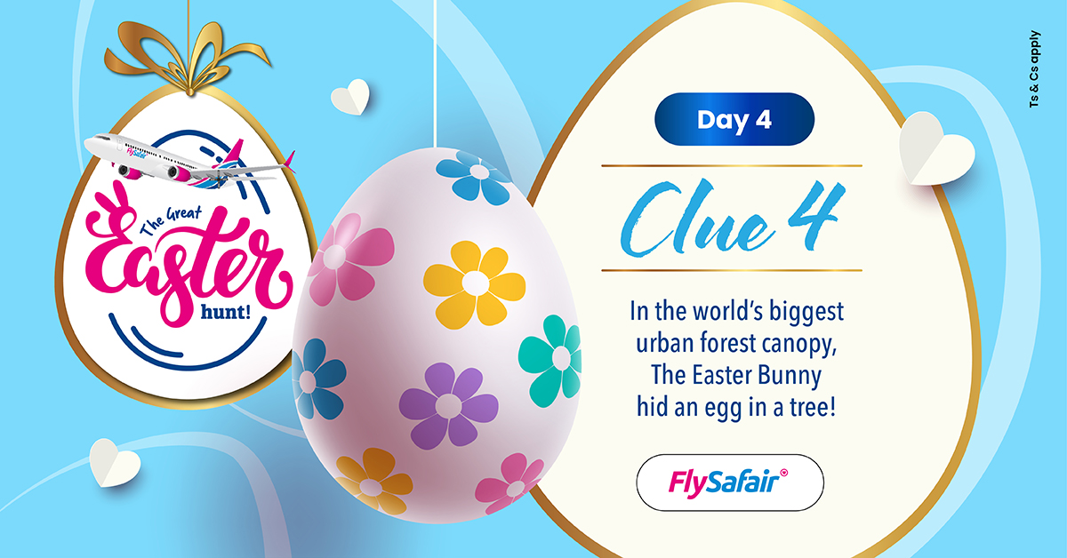 FlySafair tweet media