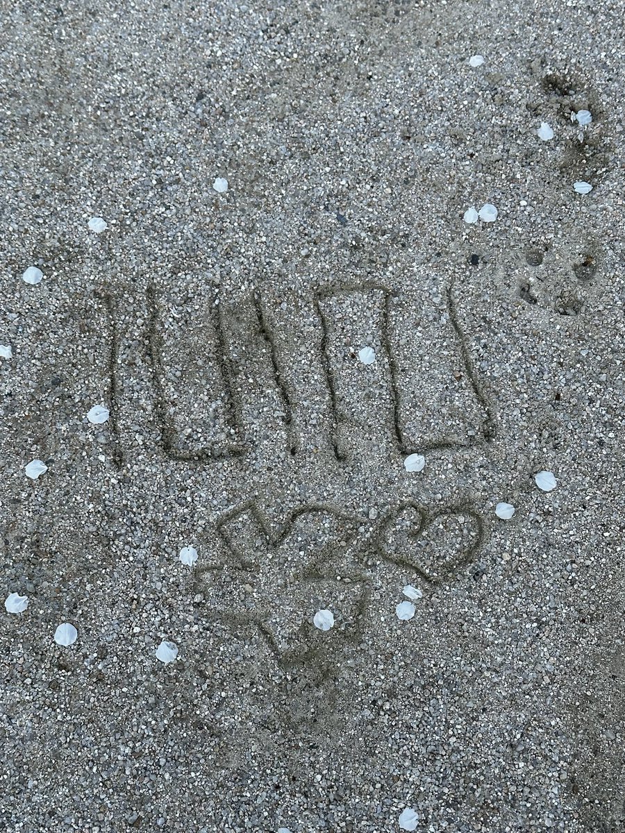 운동장이 예쁘길래.. 써봤어요
