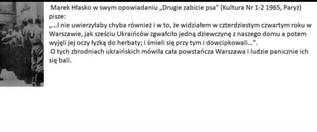 Dariusz Brzozowski tweet media