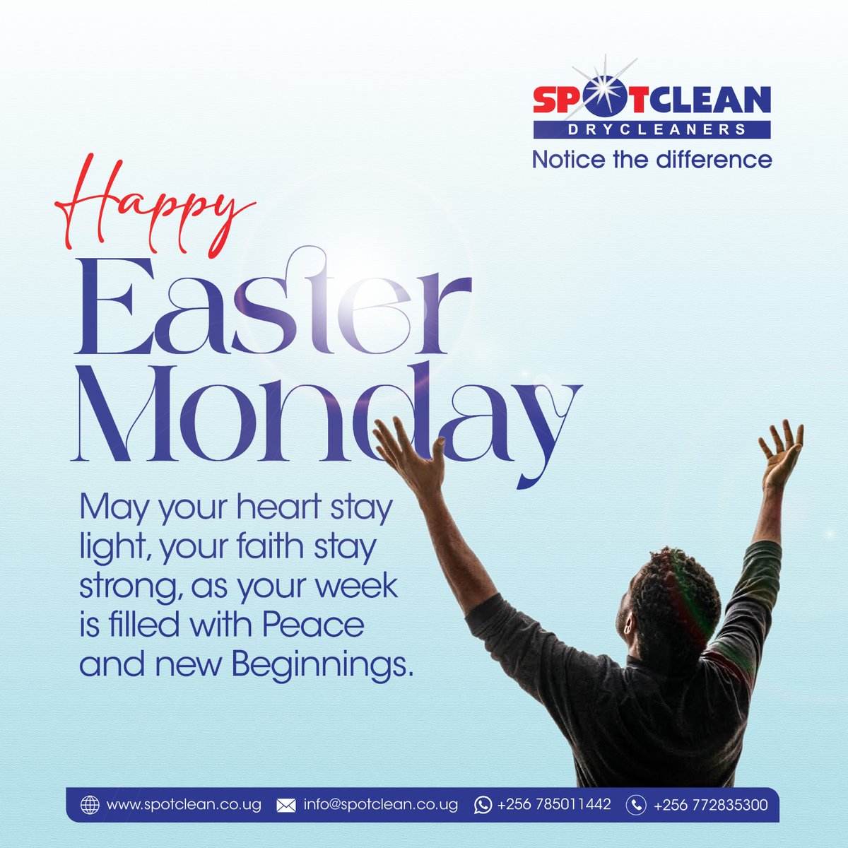 Spotclean Drycleaners tweet media