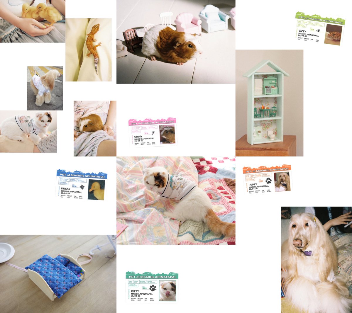 ju𝓷𝓮 tweet media