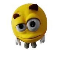 rincvl²⁵ tweet media