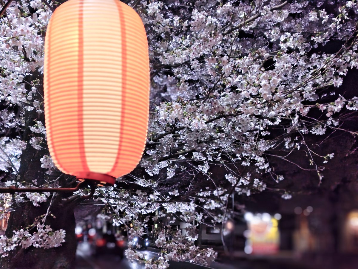 八方マイスター tweet media