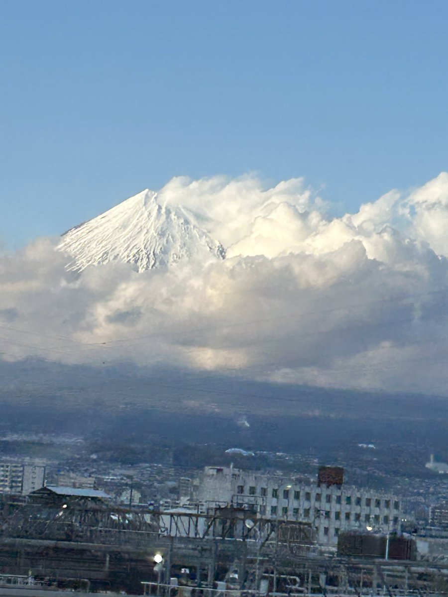 きょんまる tweet media