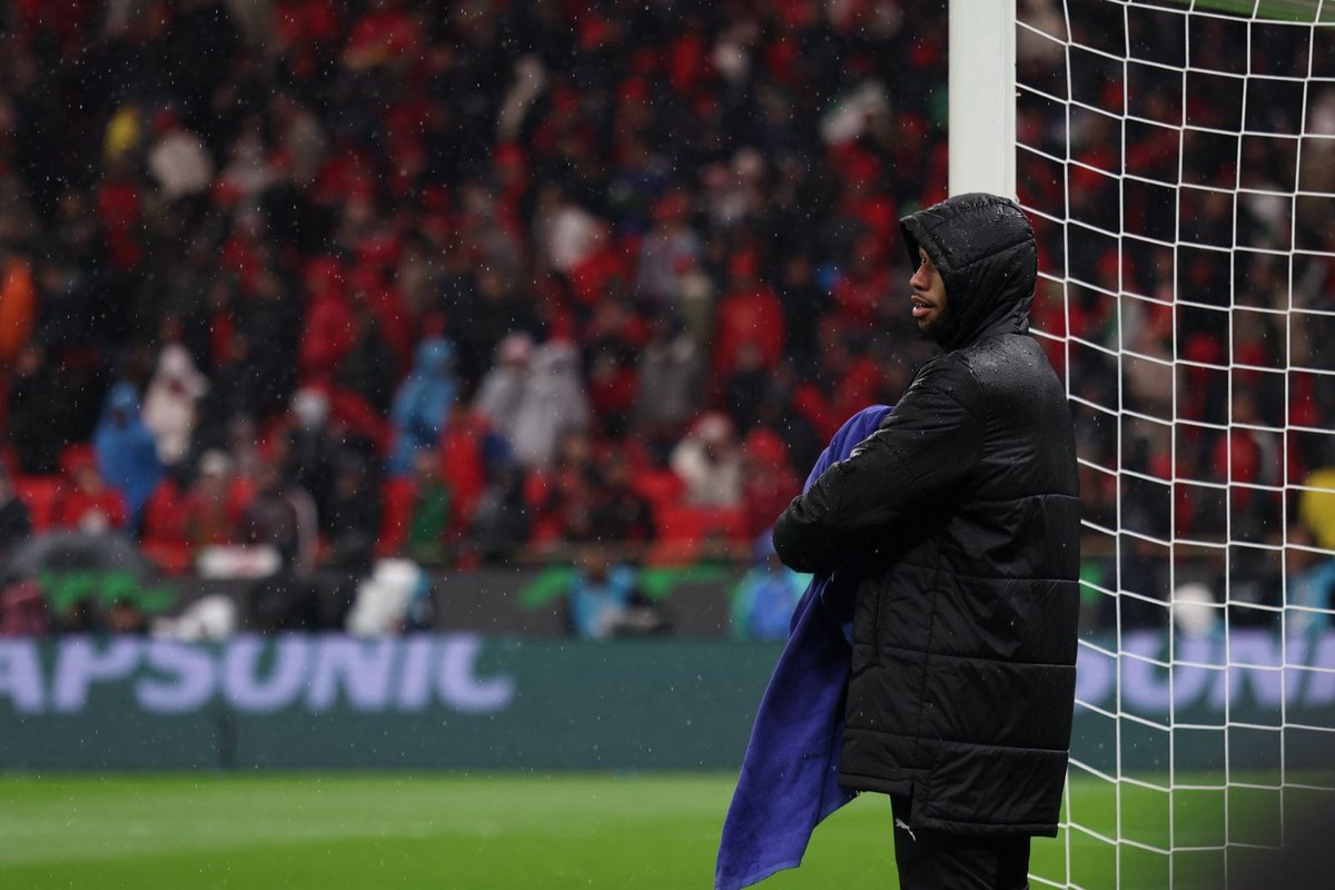 HomoGetafensis tweet media