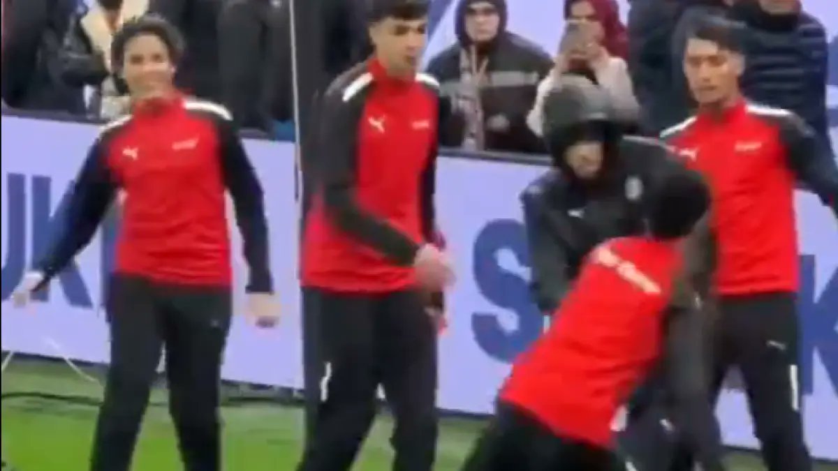 HomoGetafensis tweet media