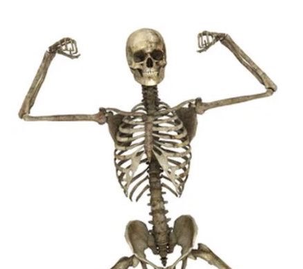 마가렛트 tweet media