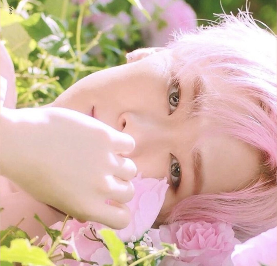 t.moti 💫 always you 🦊🐶🐰🐱🐺🐣 tweet media