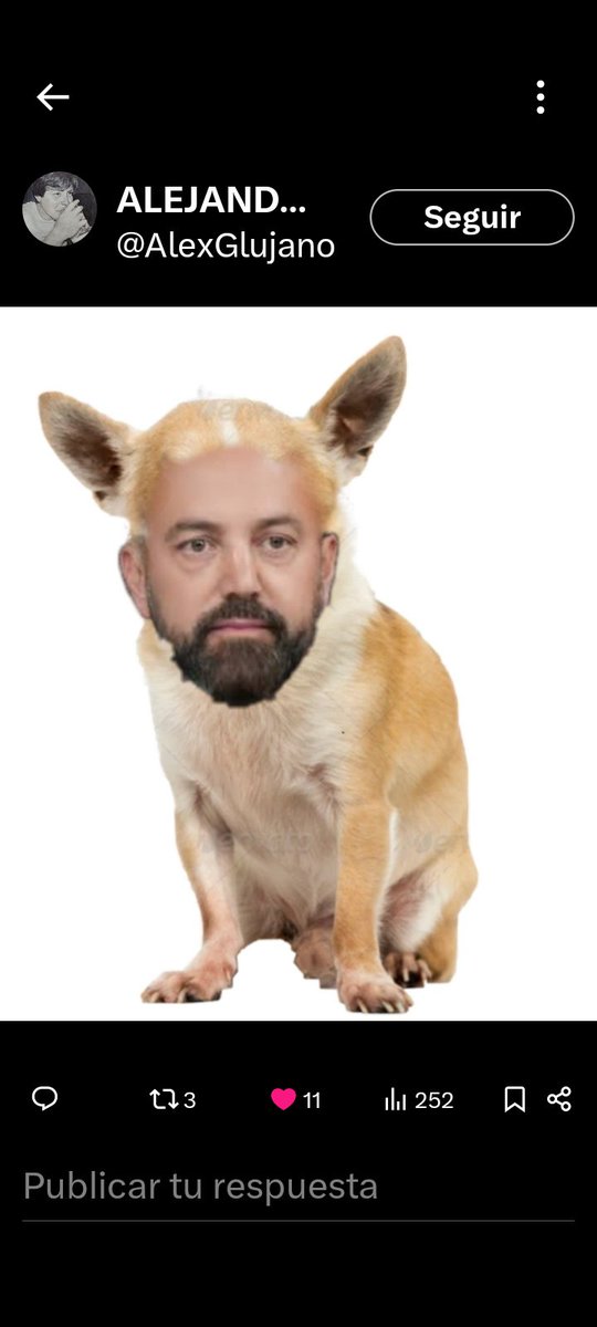 Jorgio1140's tweet photo. @JoseMarioMX Perrito del bienestar 🤣 https://t.co/AHQXMVUKAc