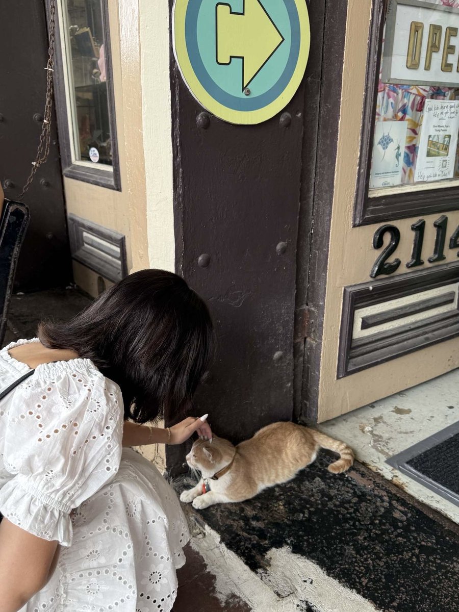 brookie ☆ tweet media