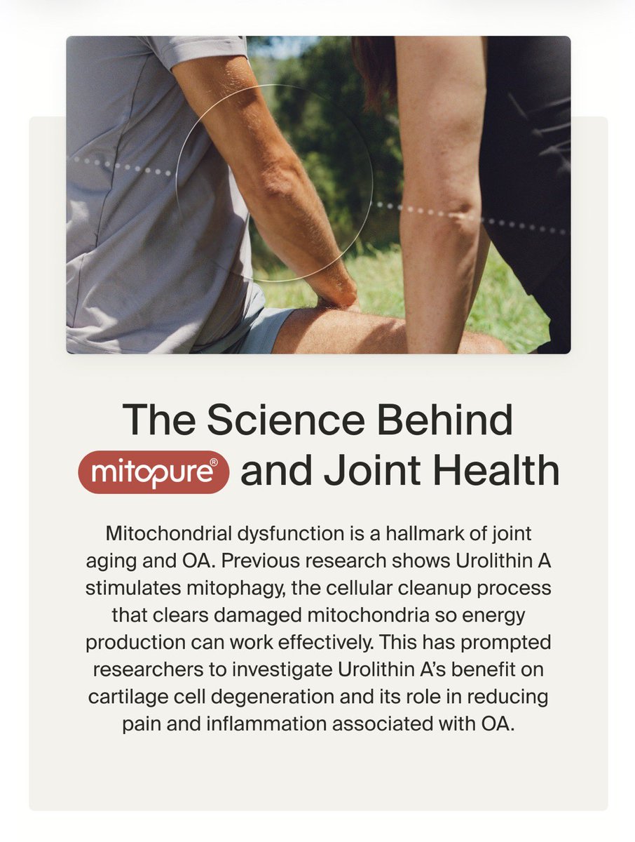 Dr Murphy WeightLoss tweet media