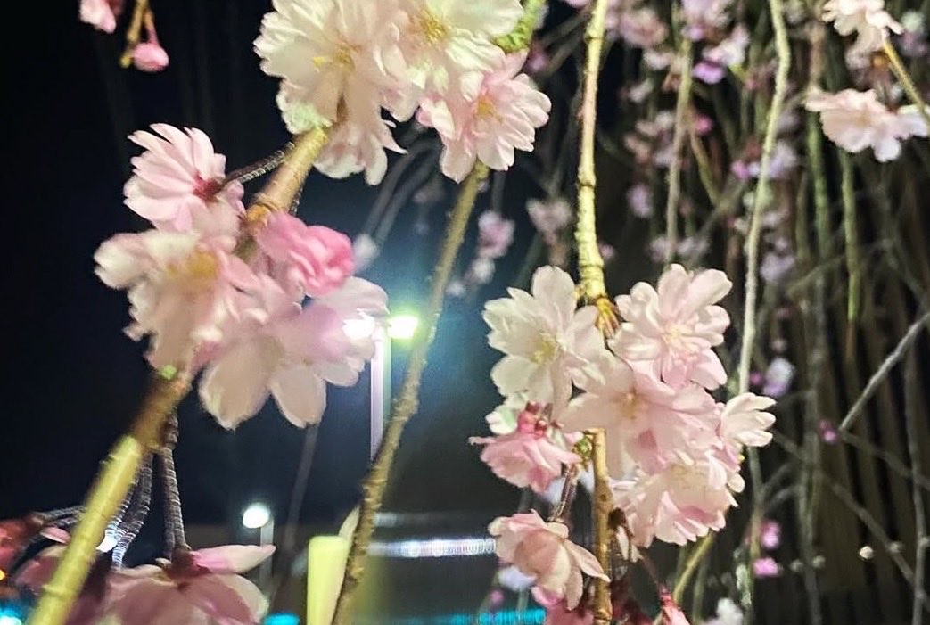 さも(melt) tweet media