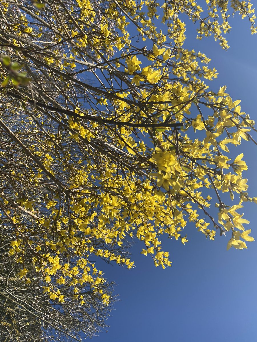 Miriam  tweet media