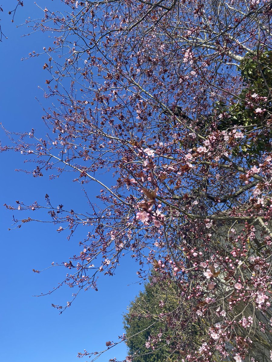 Miriam  tweet media