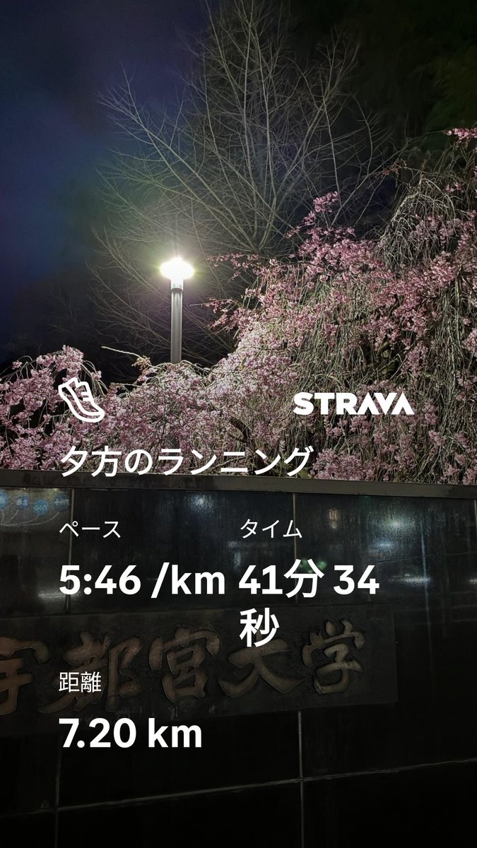 RIS9@猫の下僕(ΦωΦ)v tweet media