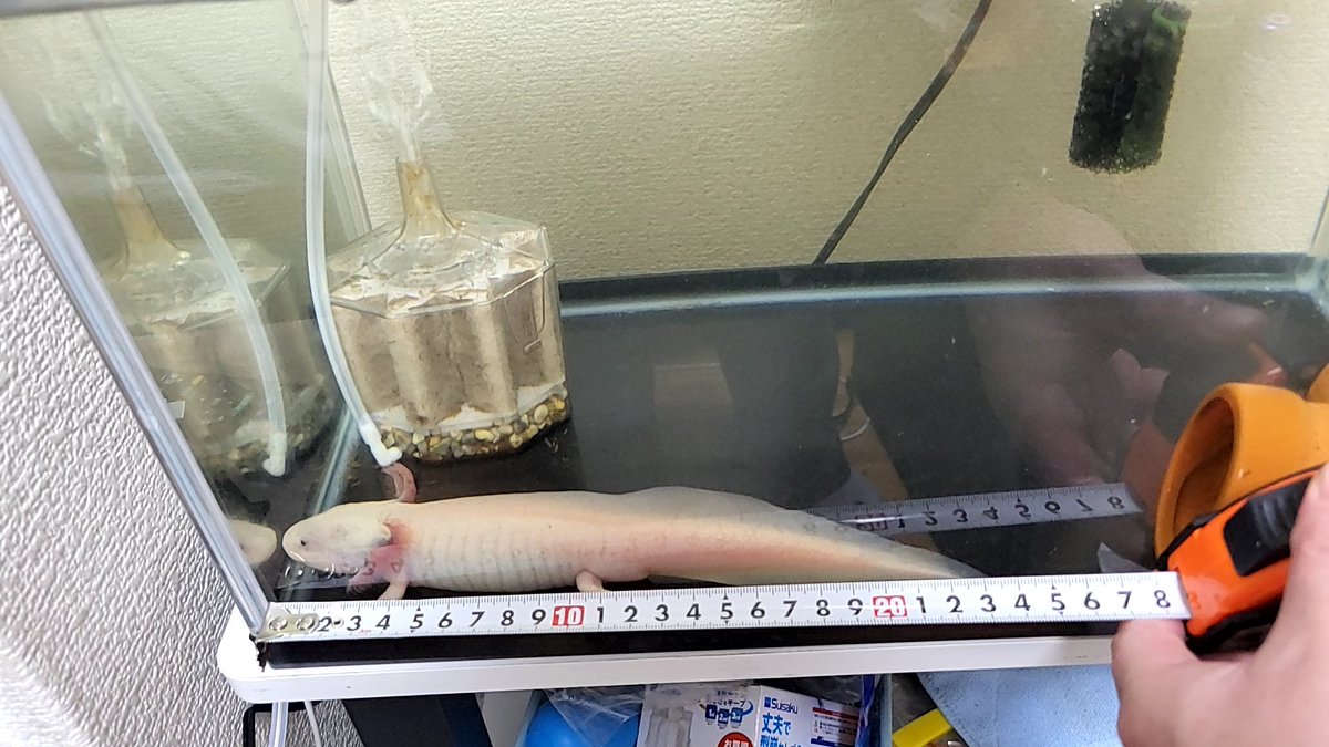 タカ砲ちゃんねる 旧光宙ちゃんねる tweet media