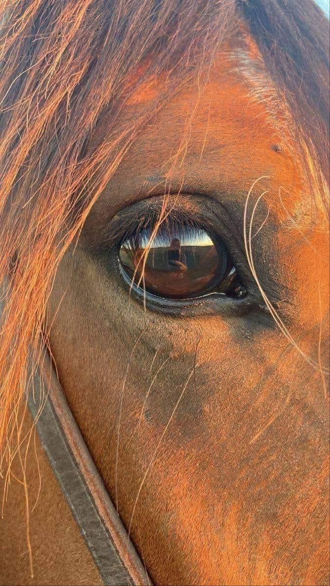 𝓐𝓵𝓐𝓶👑𝓮𝓮𝓻𝓪 tweet media