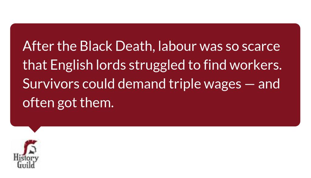 History Guild tweet media