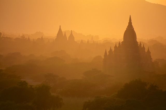 Julie Marie tweet media