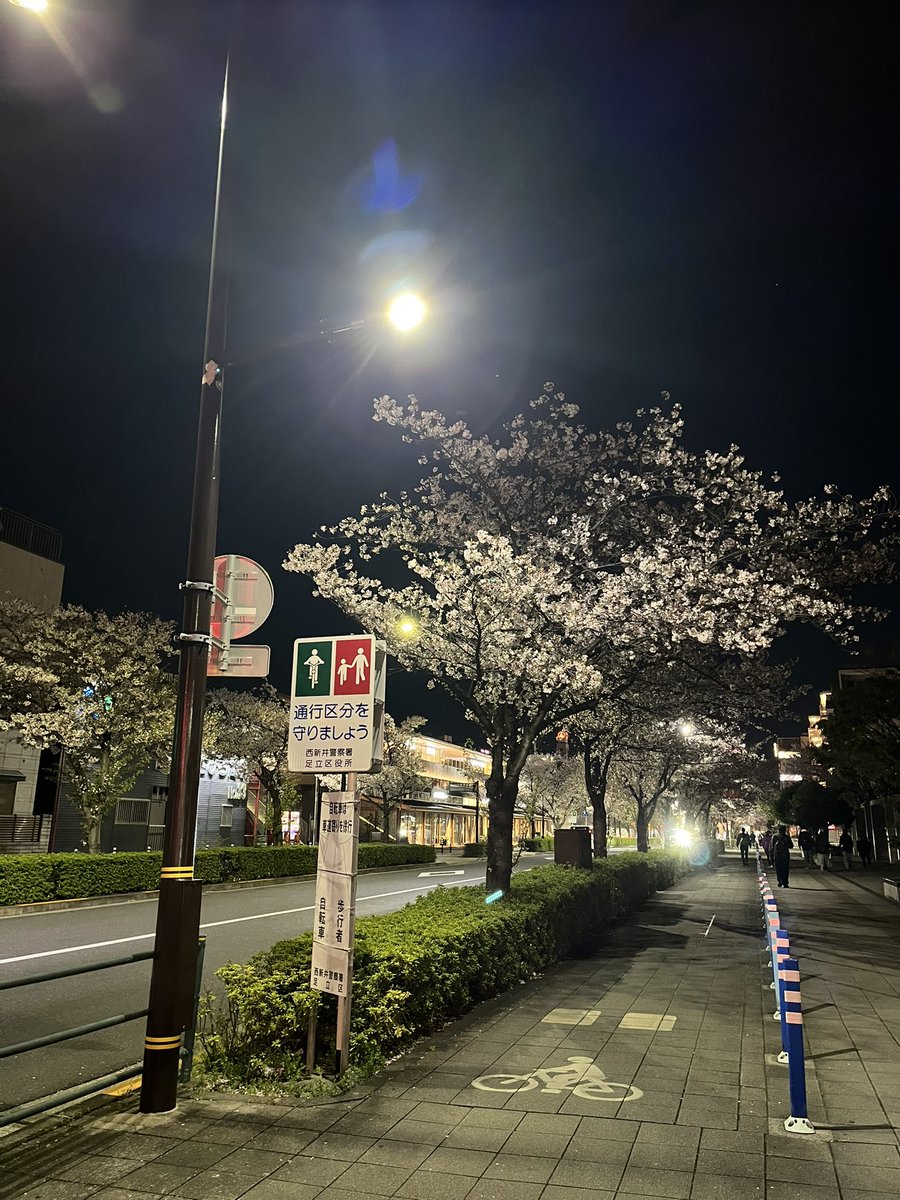 ようちゃん＆Rai.Noi.Sui.Ruito.Haruto🐹🐹🐹🐹🐹 tweet media