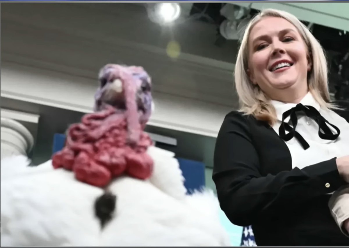 the K-man, accept no substitute tweet media