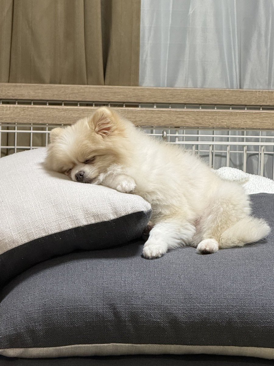 ららら☽*̣̩⋆̩ tweet media